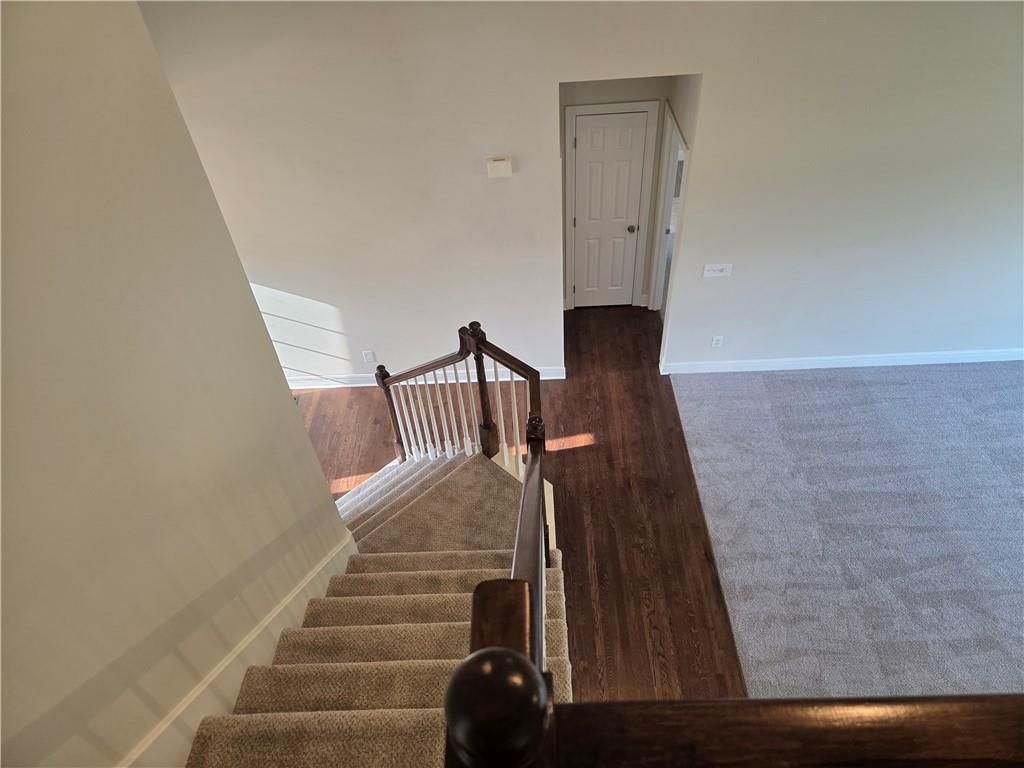 7024 Constance Street — photo 50