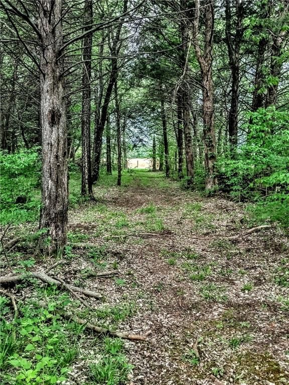 250 Virginia Road — photo 26