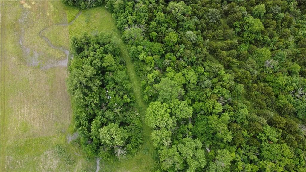 000 Wagon Road — photo 26