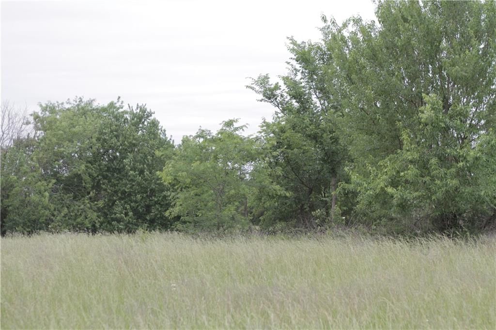 000 Wagon Road — photo 34