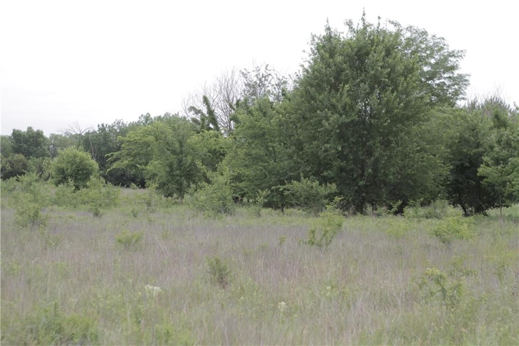 000 Wagon Road — photo 36