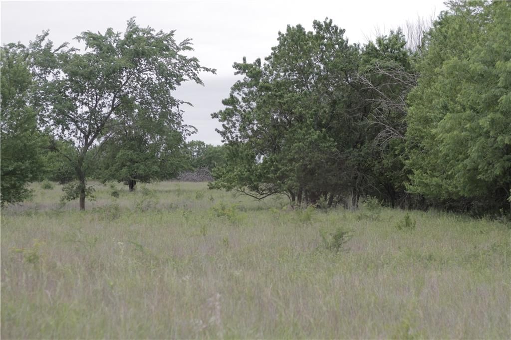 000 Wagon Road — photo 37