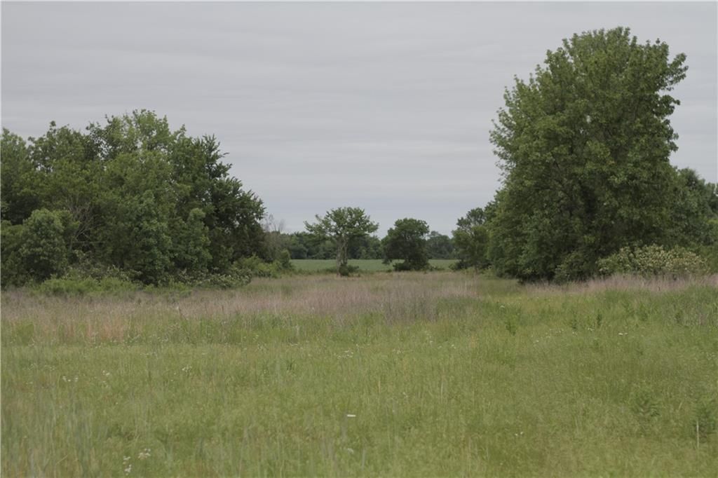 000 Wagon Road — photo 41