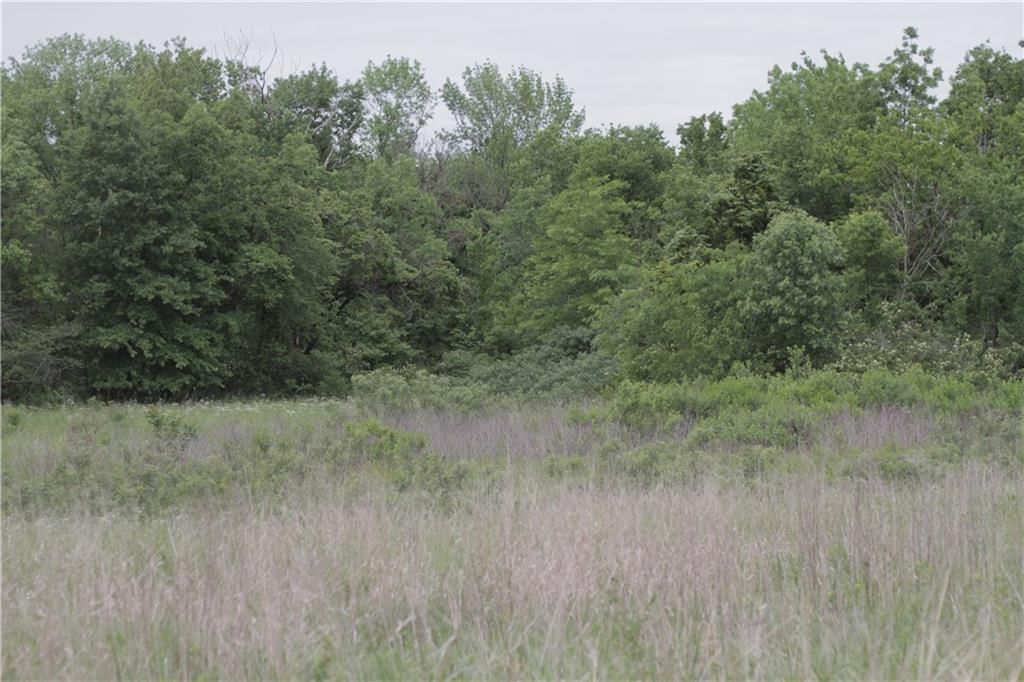 000 Wagon Road — photo 43