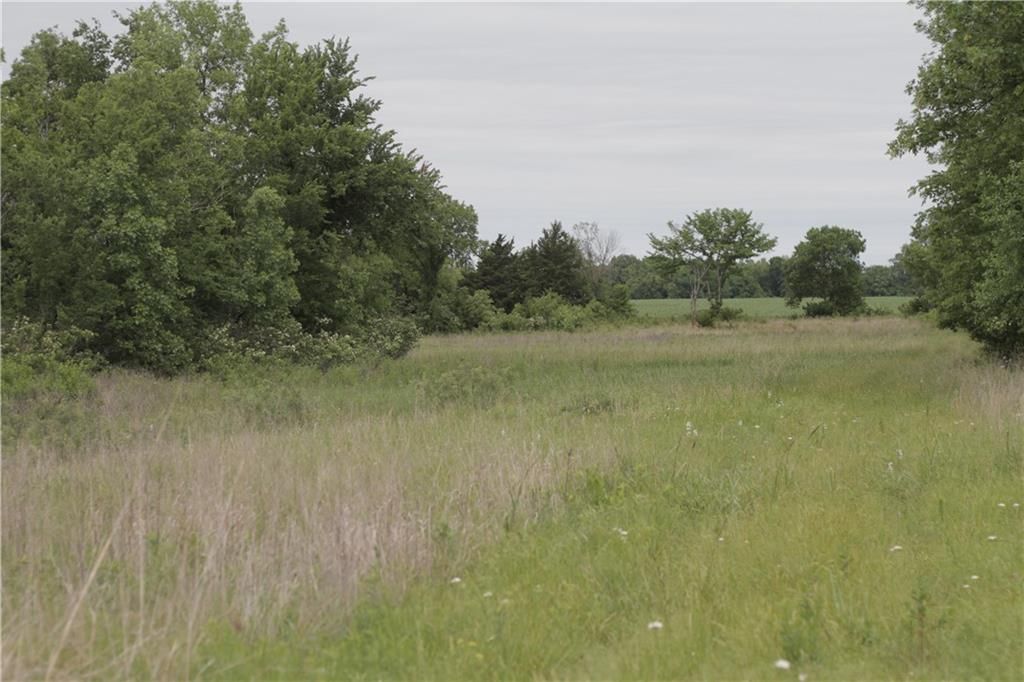 000 Wagon Road — photo 44