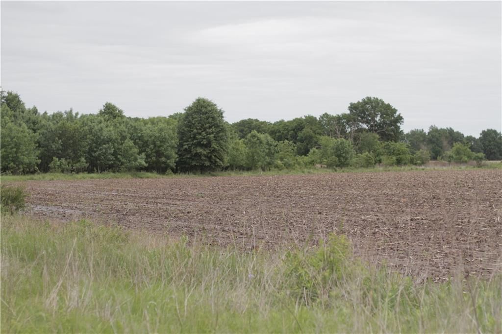 000 Wagon Road — photo 45