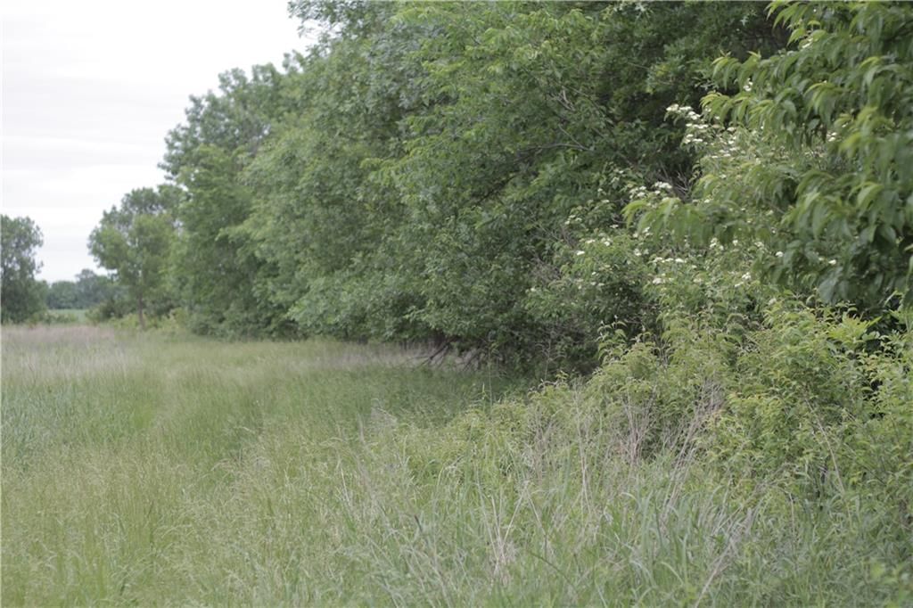 000 Wagon Road — photo 46