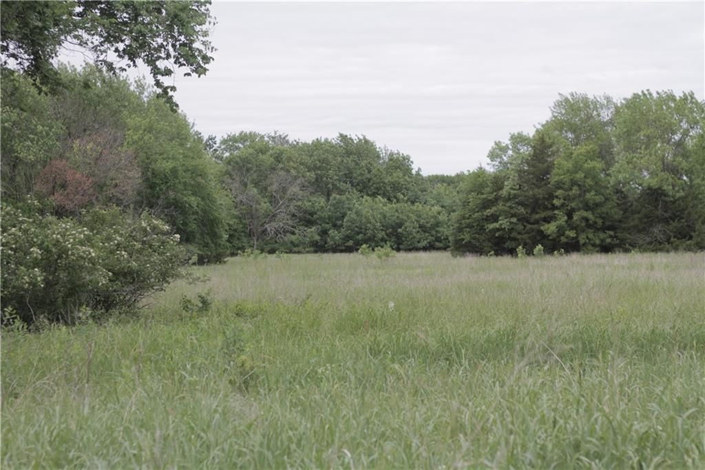 000 Wagon Road — photo 47