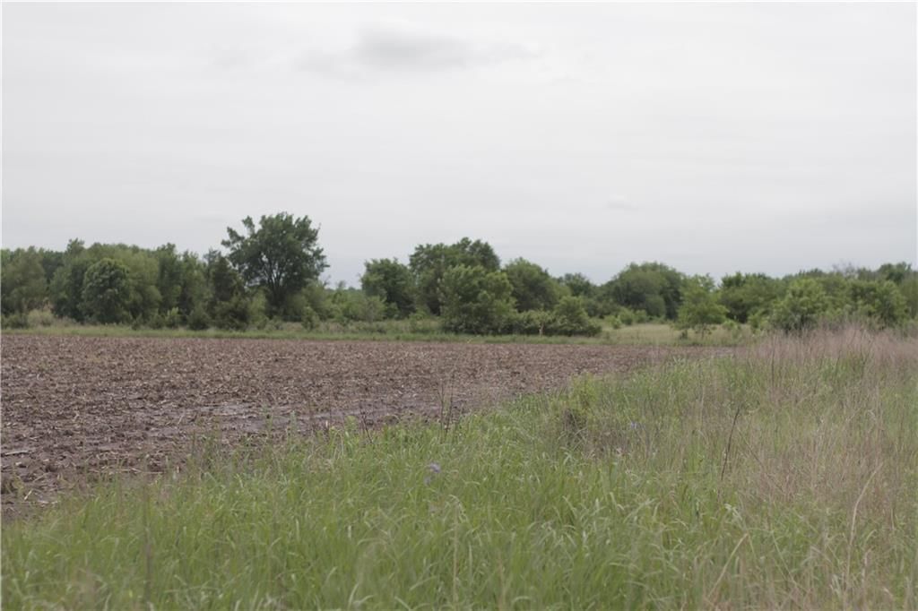 000 Wagon Road — photo 49