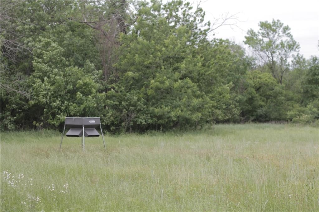000 Wagon Road — photo 50