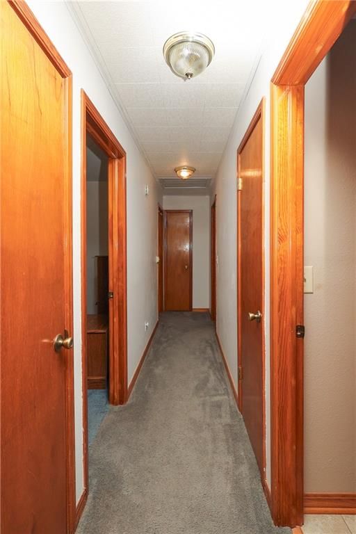 3590 CR 3875 Road — photo 25