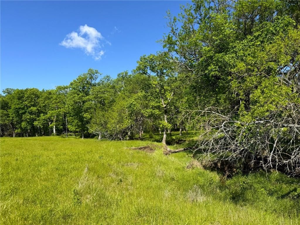 913 N 100 Road — photo 15