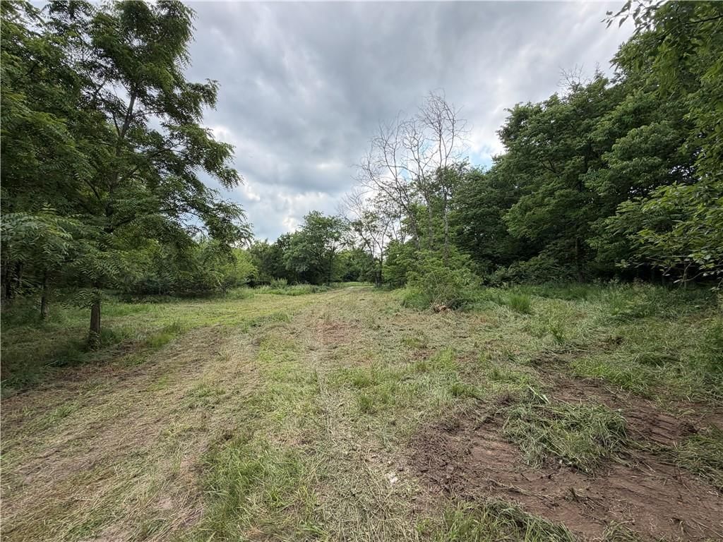 S Gibbons, Lot 3 Road — photo 10