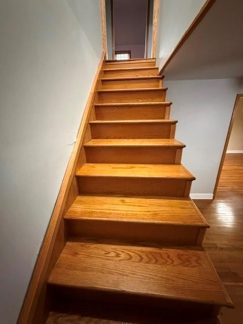 4802 King Hill Avenue — photo 21
