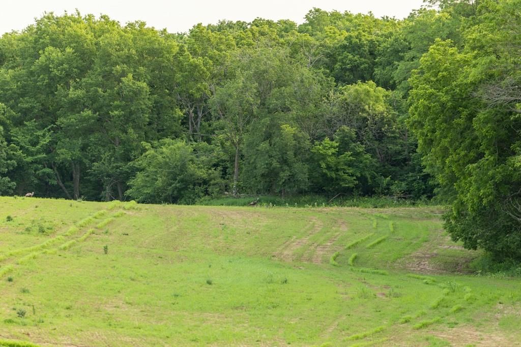 0000 Little Platte Road — photo 34