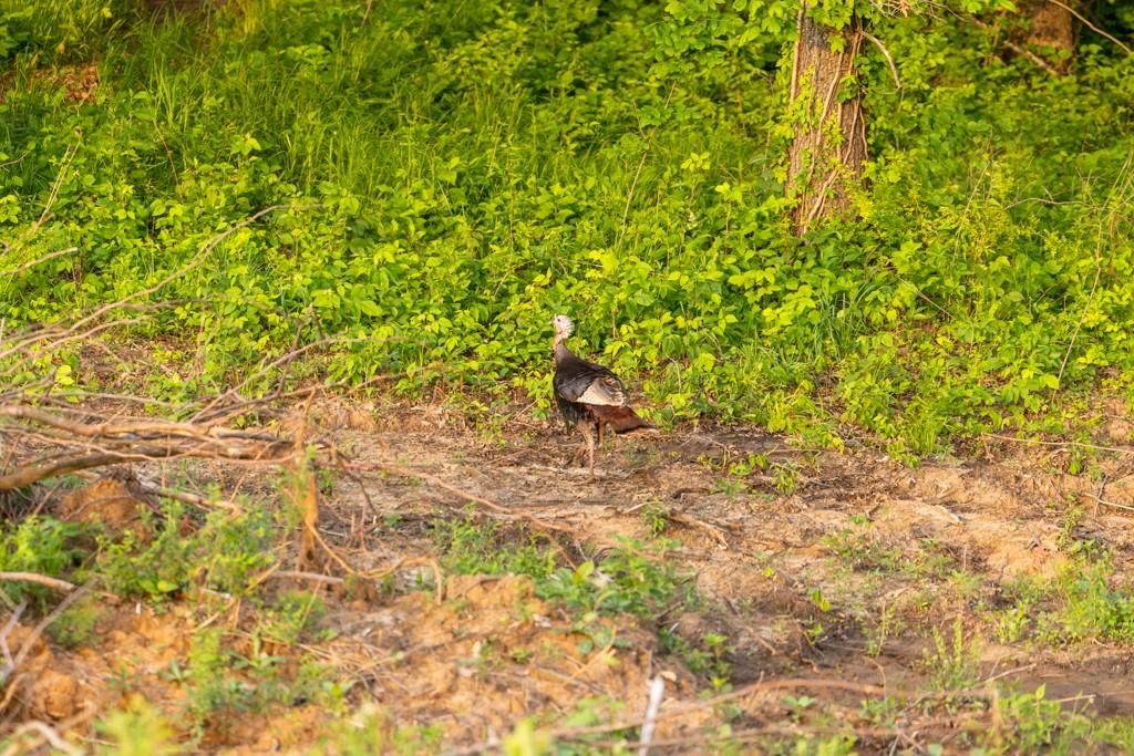 0000 Little Platte Road — photo 41