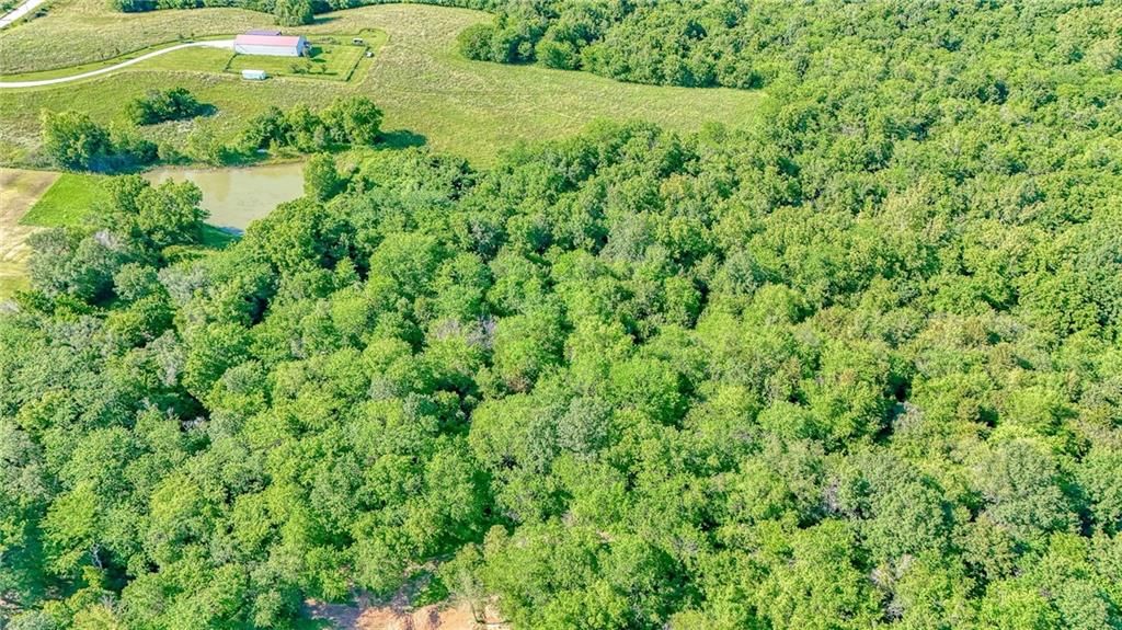 11769 Orrick Road — photo 48