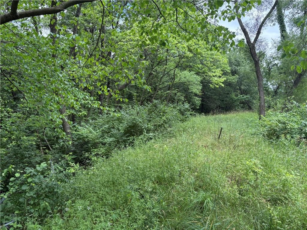 10023 S Munro Road — photo 33
