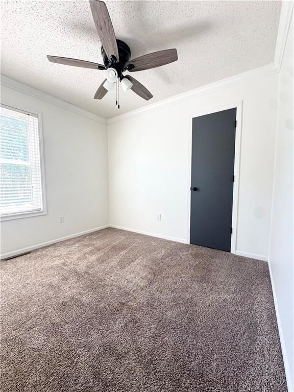 1411 Andrew Street — photo 15