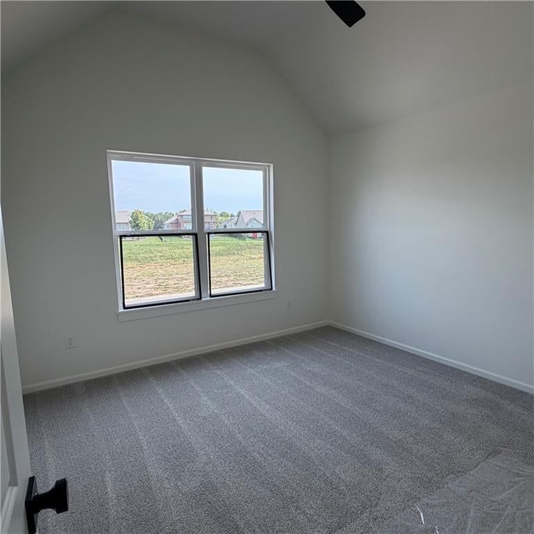 2308 Foxtail Drive — photo 25