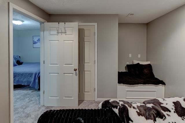 1400 Fox Run Trail — photo 37