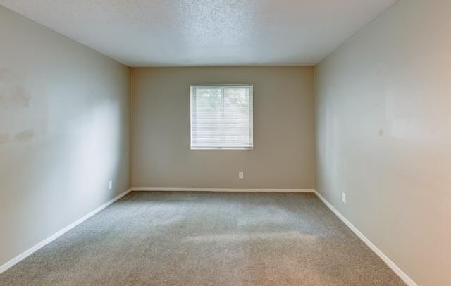 4157 Roanoke Road — photo 7