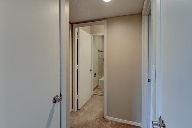 4157 Roanoke Road — photo 16