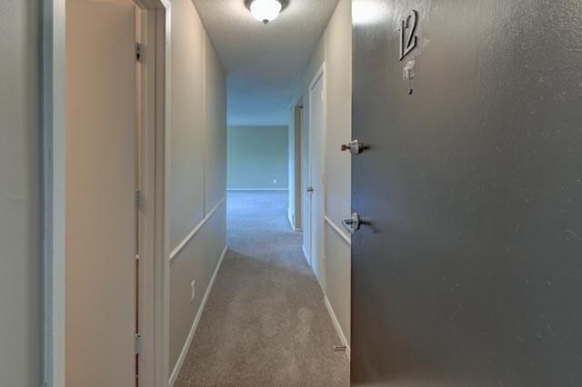 4157 Roanoke Road — photo 21