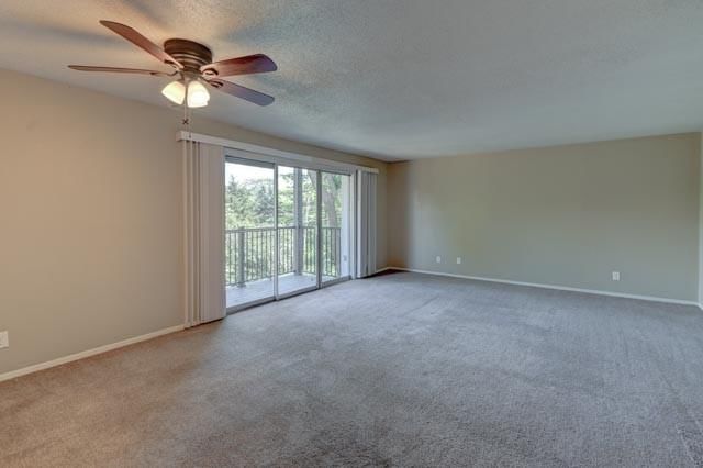 4157 Roanoke Road — photo 34