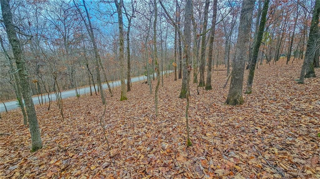 Lot #302 Lake Drive — photo 5