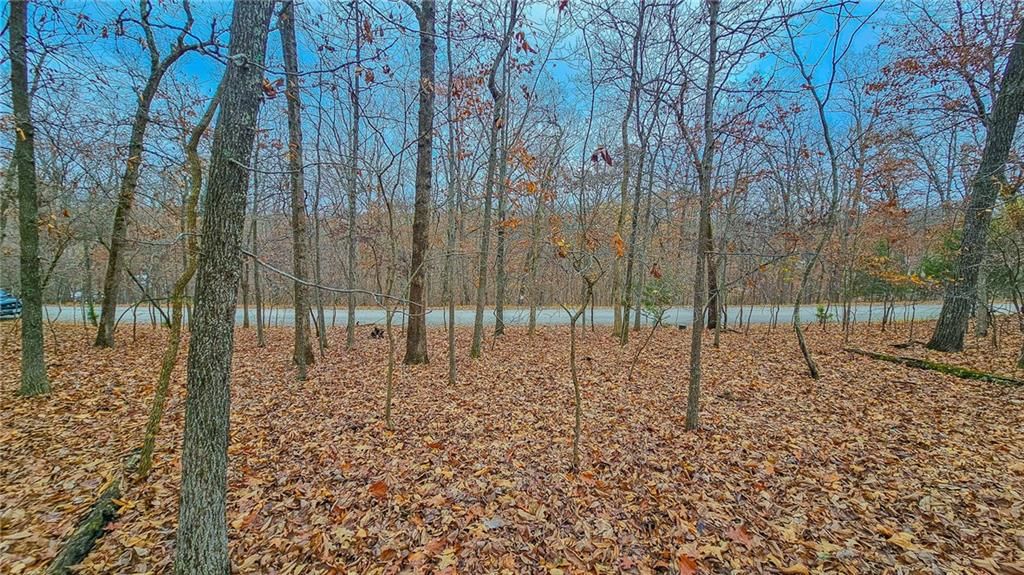 Lot #302 Lake Drive — photo 6