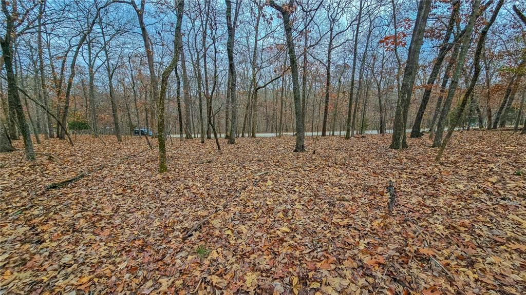 Lot #302 Lake Drive — photo 8