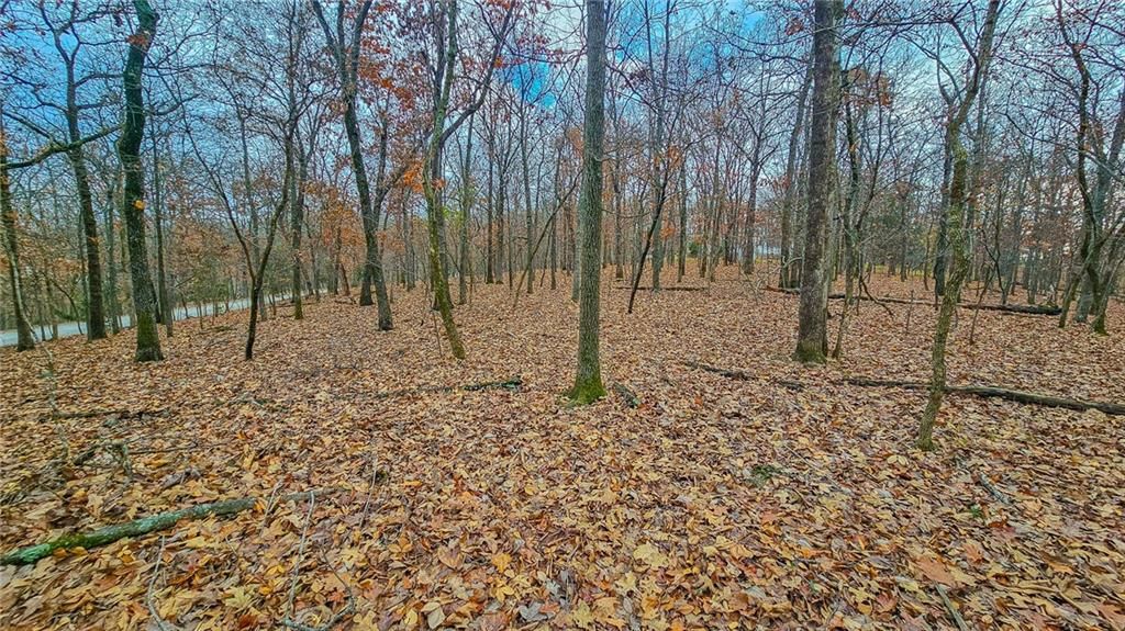 Lot #302 Lake Drive — photo 9