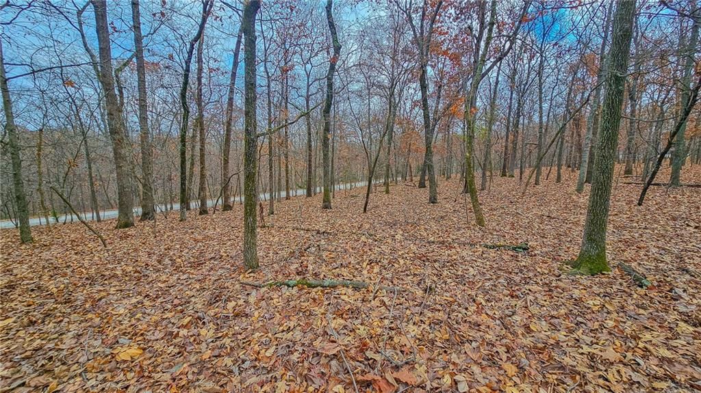 Lot #302 Lake Drive — photo 10