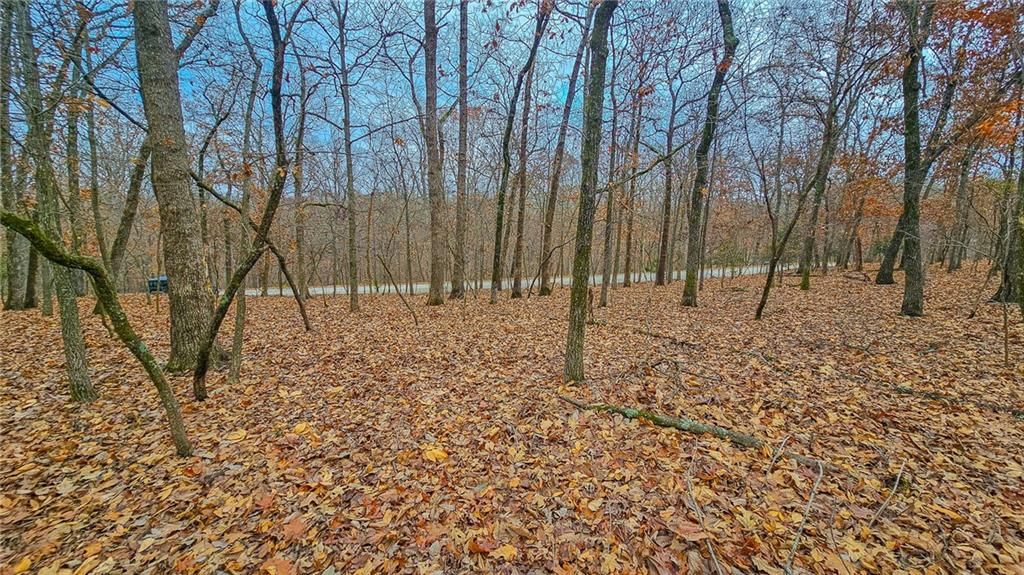 Lot #302 Lake Drive — photo 11