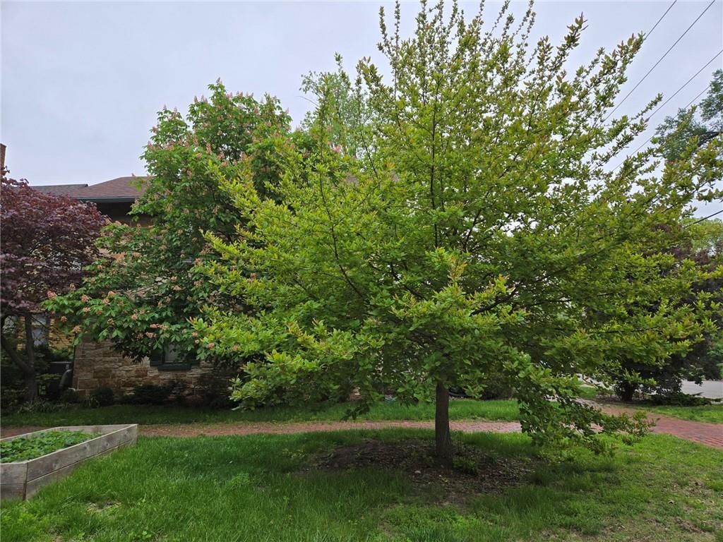 646 LOUISIANA Street — photo 12