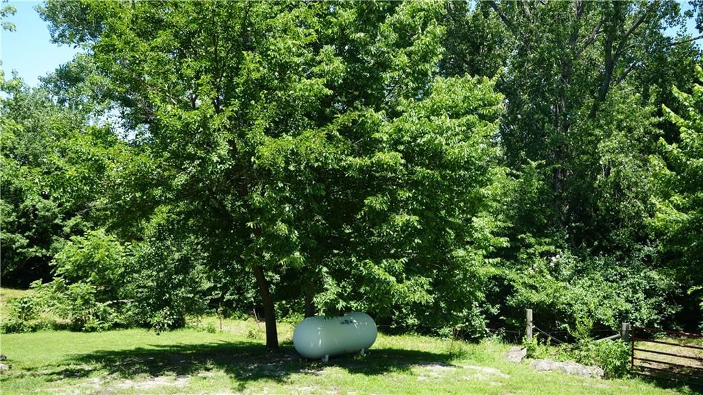 14701 Tillman Road — photo 31