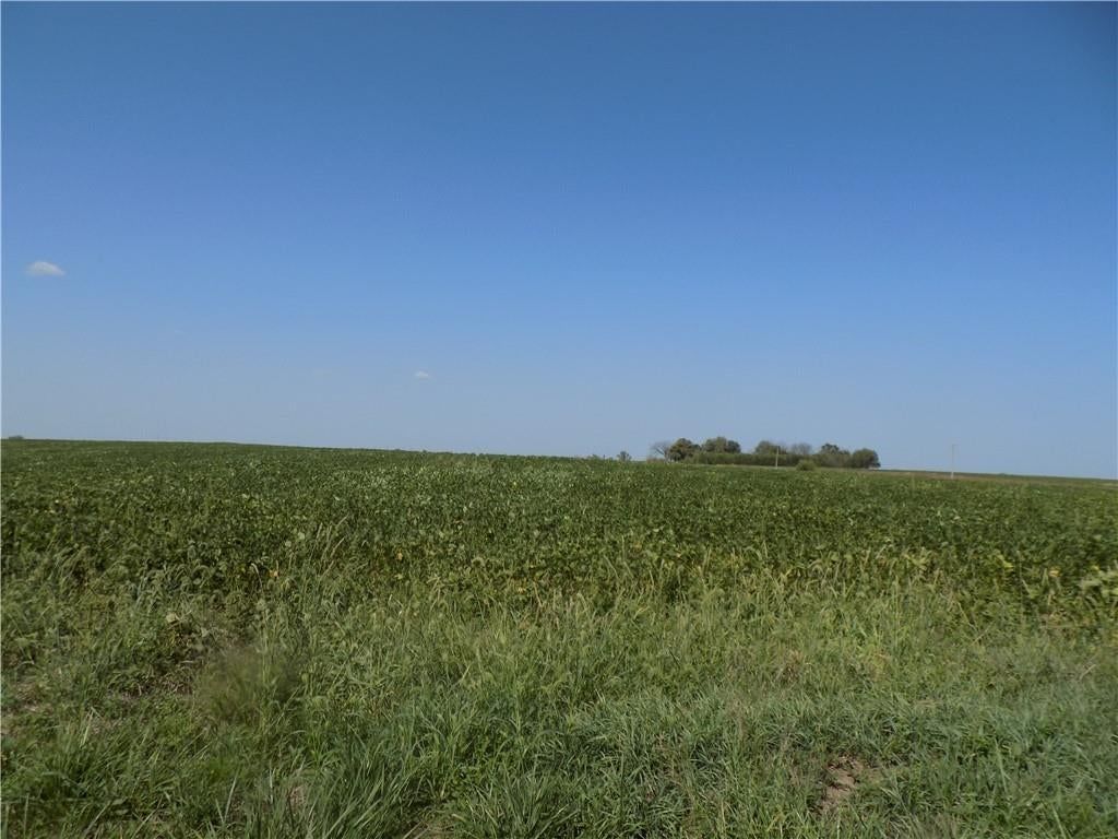 SW Kentucky & 600 Road — photo 3