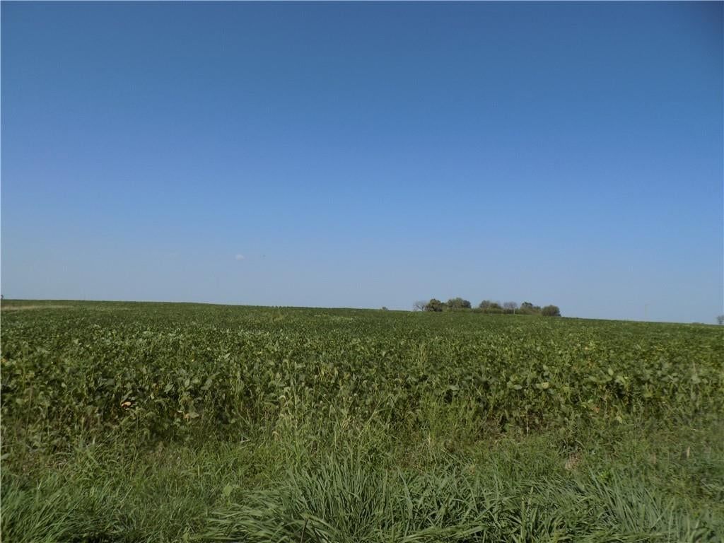 SW Kentucky & 600 Road — photo 4