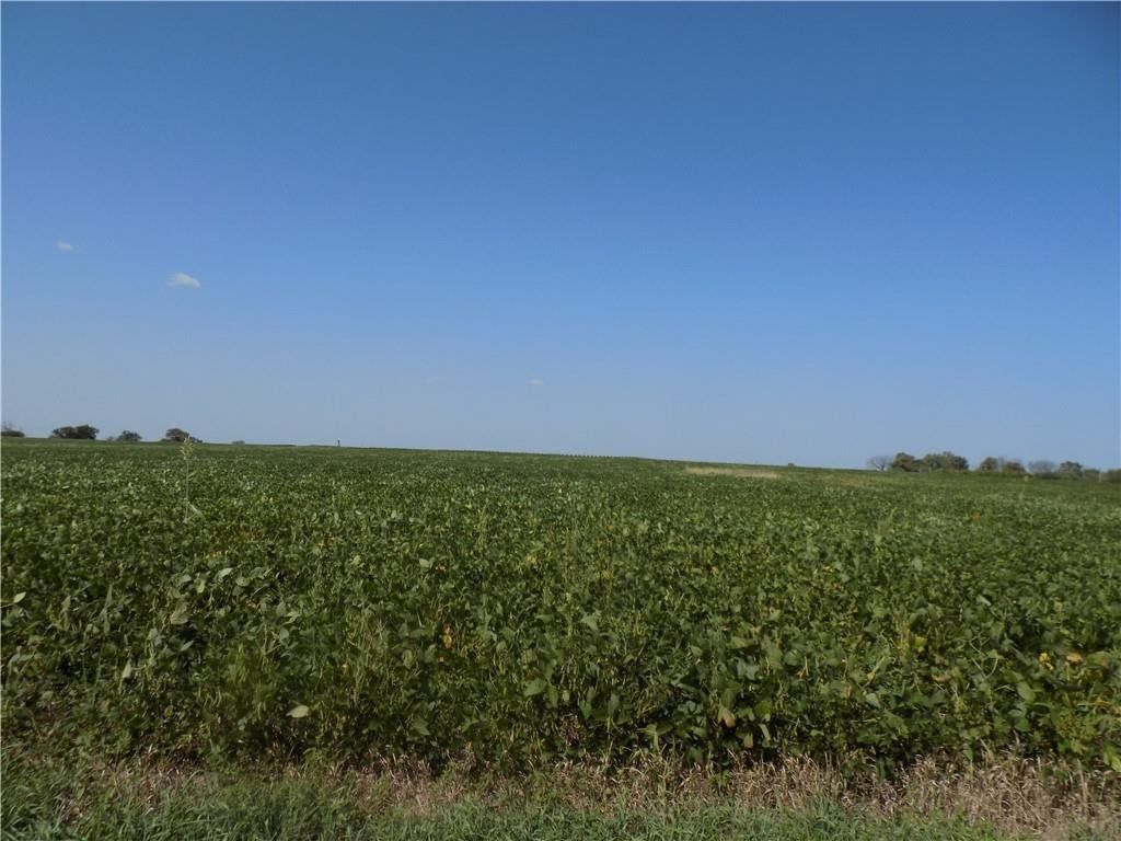SW Kentucky & 600 Road — photo 5