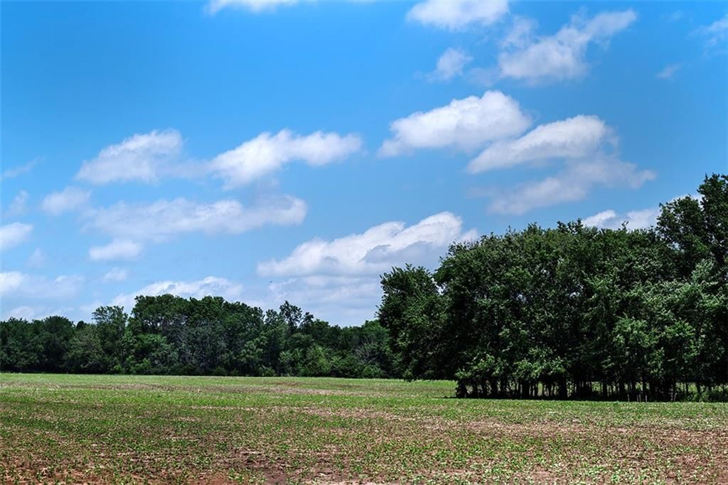 Road — photo 4