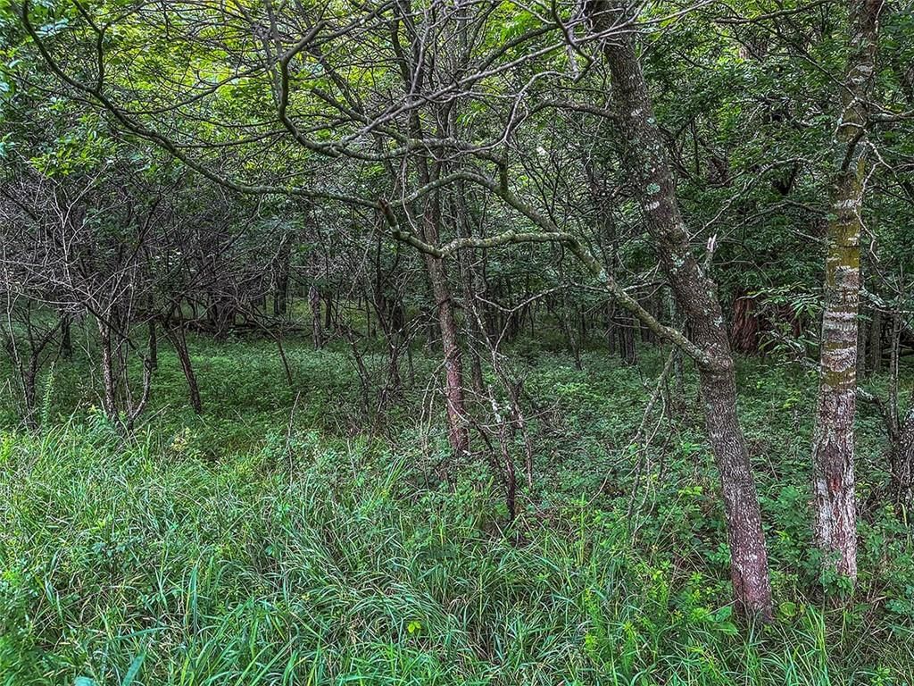 Road — photo 33