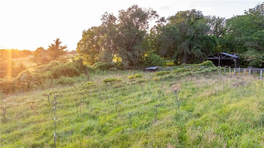 33200 E hammond Road — photo 24