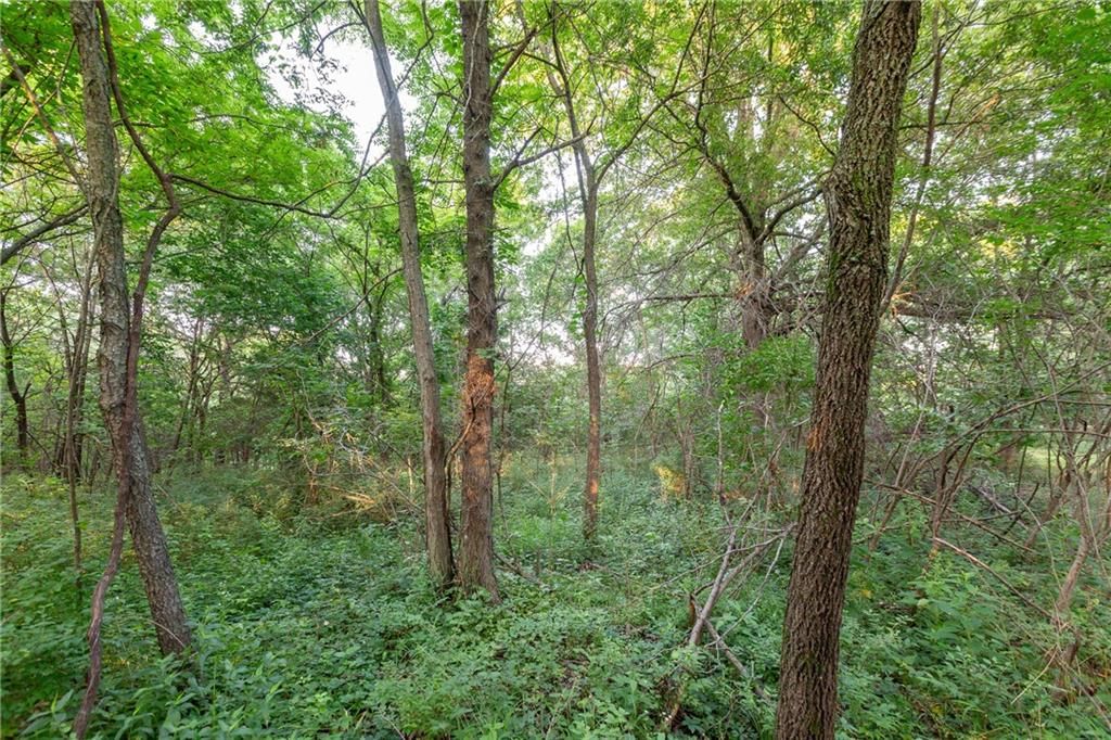 33200 E hammond Road — photo 69