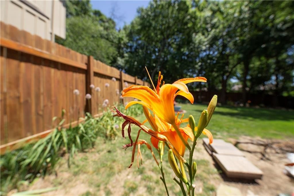 11629 BOND Street — photo 32