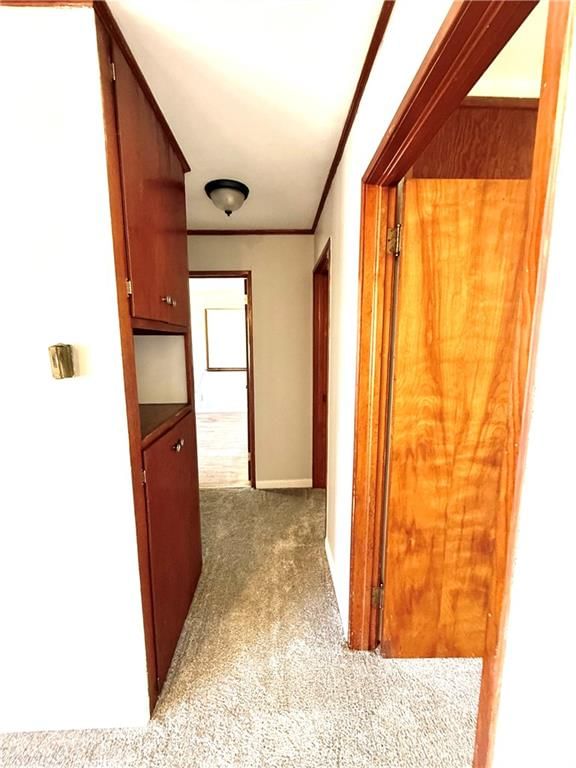 802 E Roseberry Street — photo 7