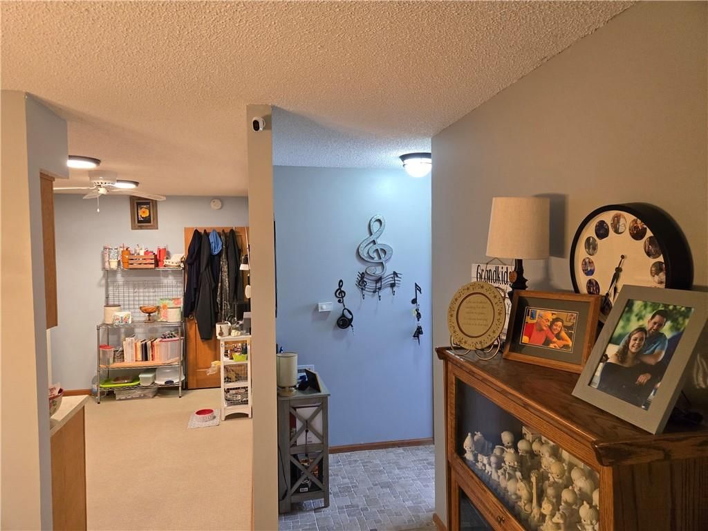 6228 Ash Court — photo 19