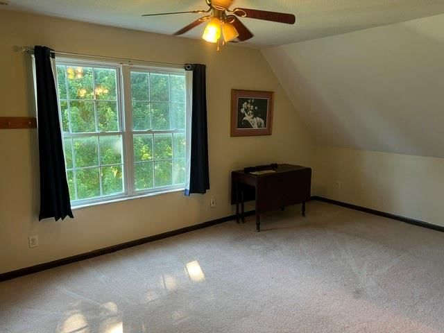 3101 N 34th Terrace — photo 33