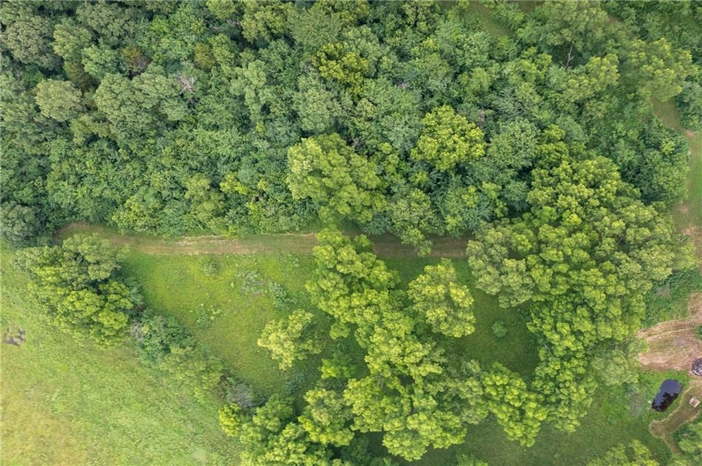 2354 NW County Rd 1502 (tract 2) Road — photo 16