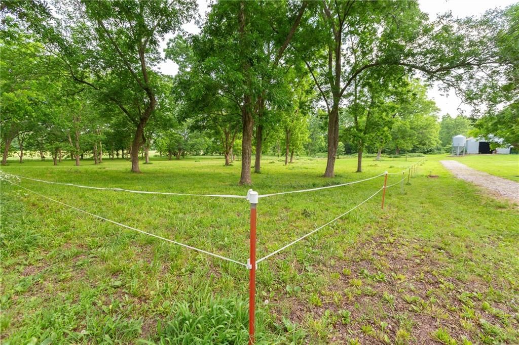 2354 NW County Rd 1502 (tract 2) Road — photo 18